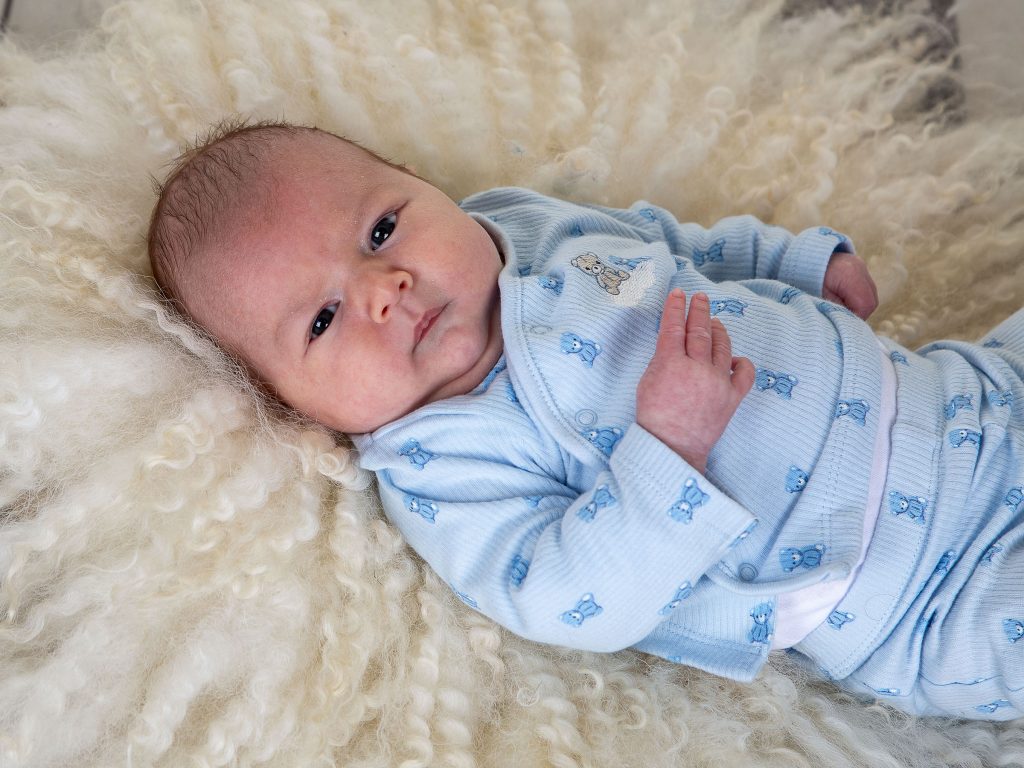 Gallery 2025 3 Barney Dixon