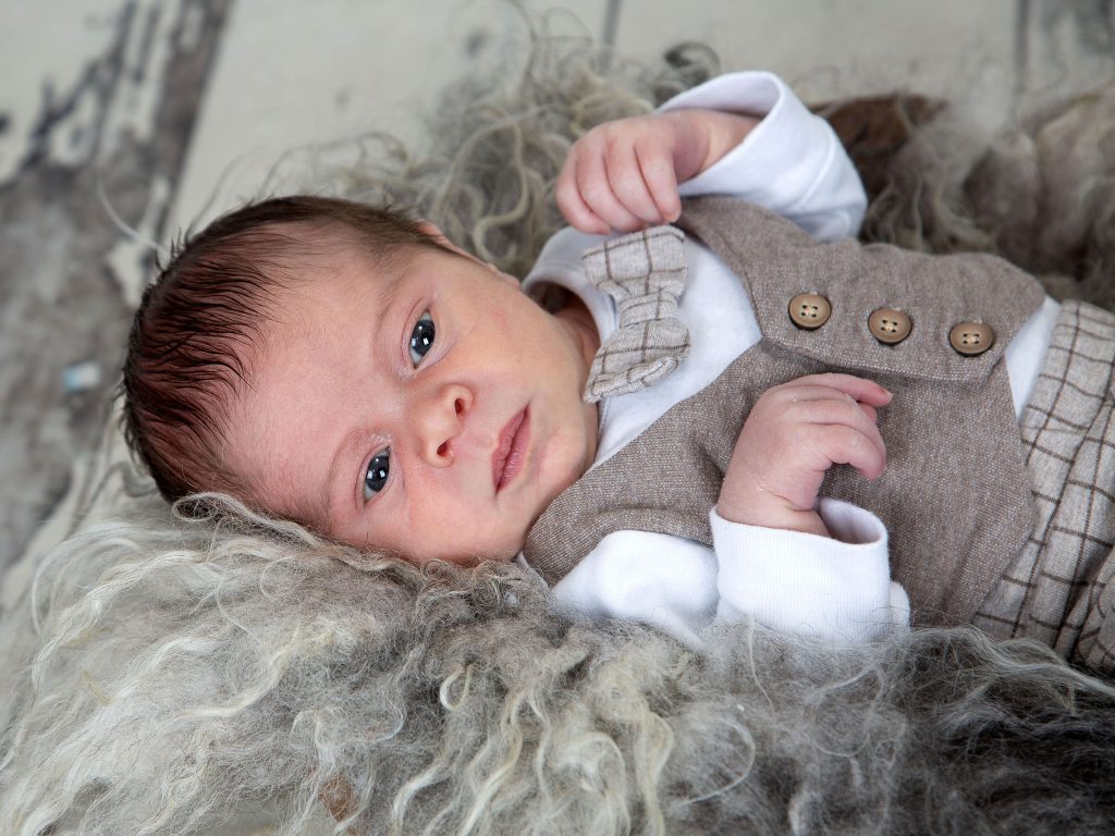 Gallery 2025 7 Harrison Davies