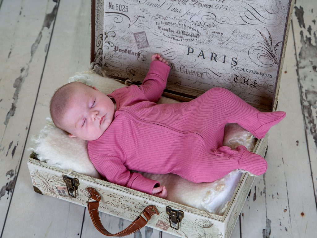 Gallery 2025 6 Olive Atkinson-cole