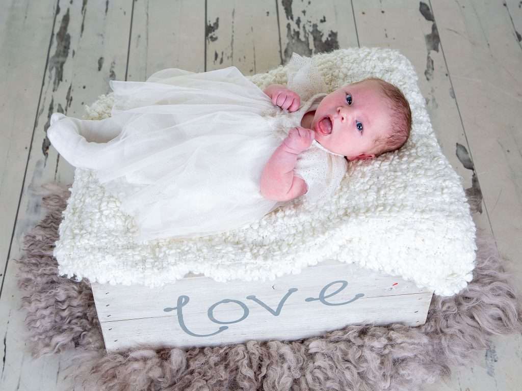 Gallery 2025 9 Rose Murphy